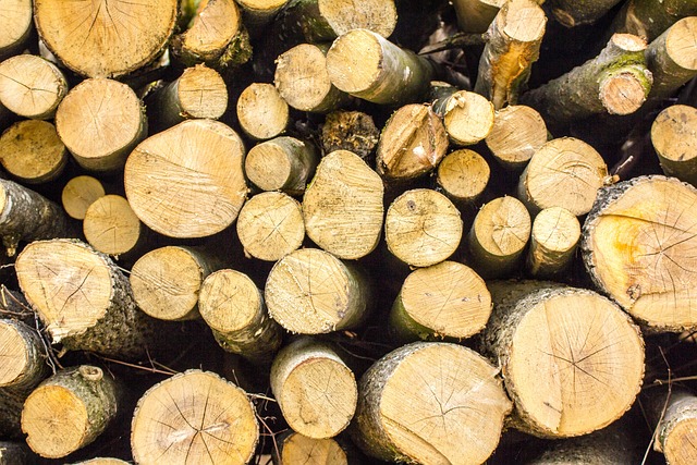 Spar tid og penge med Dyrups effektive spærregrunder - den ultimative løsning til dit træværk